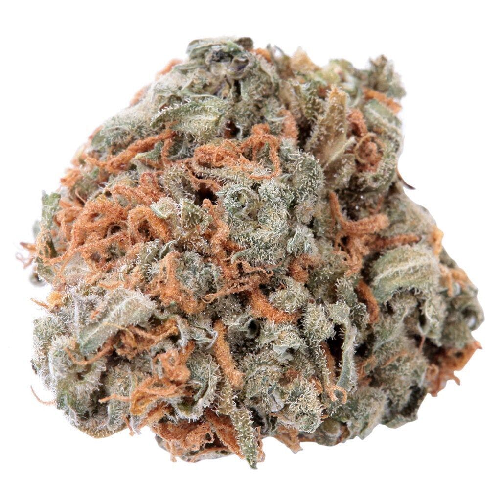 Haven St. Premium Cannabis - No. 417 Indigo Daze - 3.5g