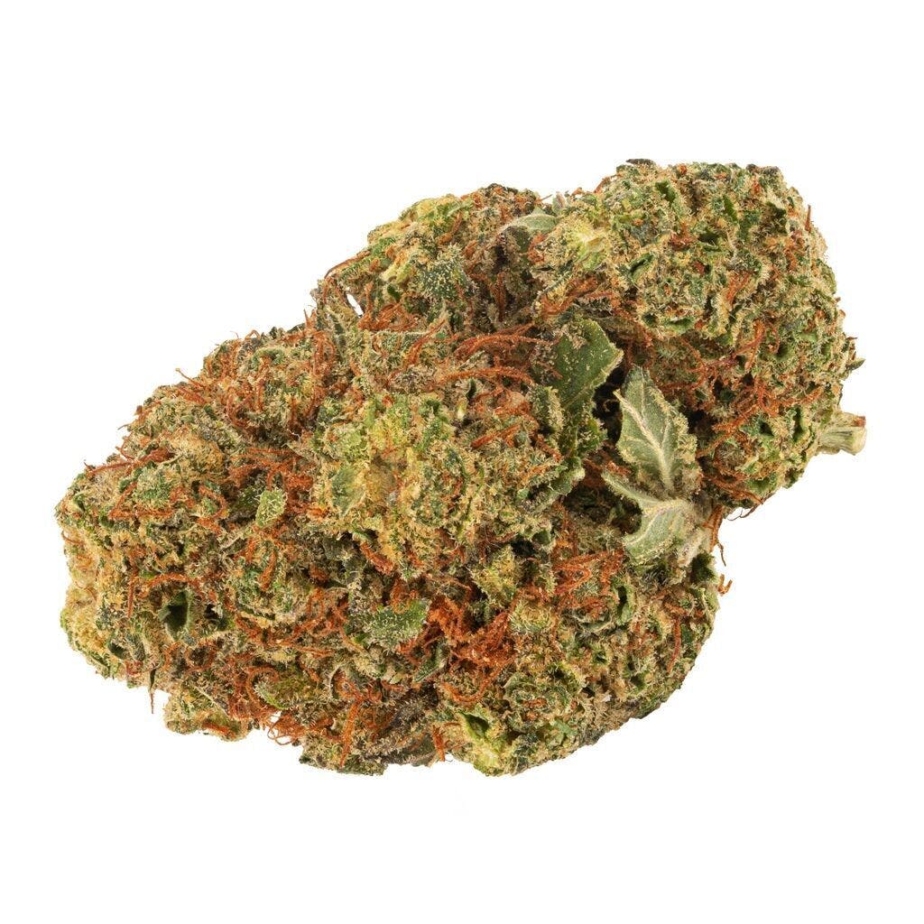 Daily Special - Daily Special Indica - 7g