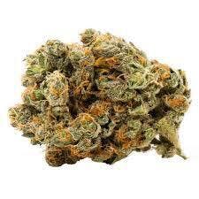 Royal City Cannabis Co. - RC Royal Goddess (God Bud x Apple Jack) - Indica - 3.5g