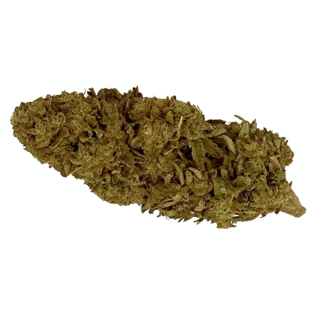 Argentia Gold - Tropicana Banana - 3.5g