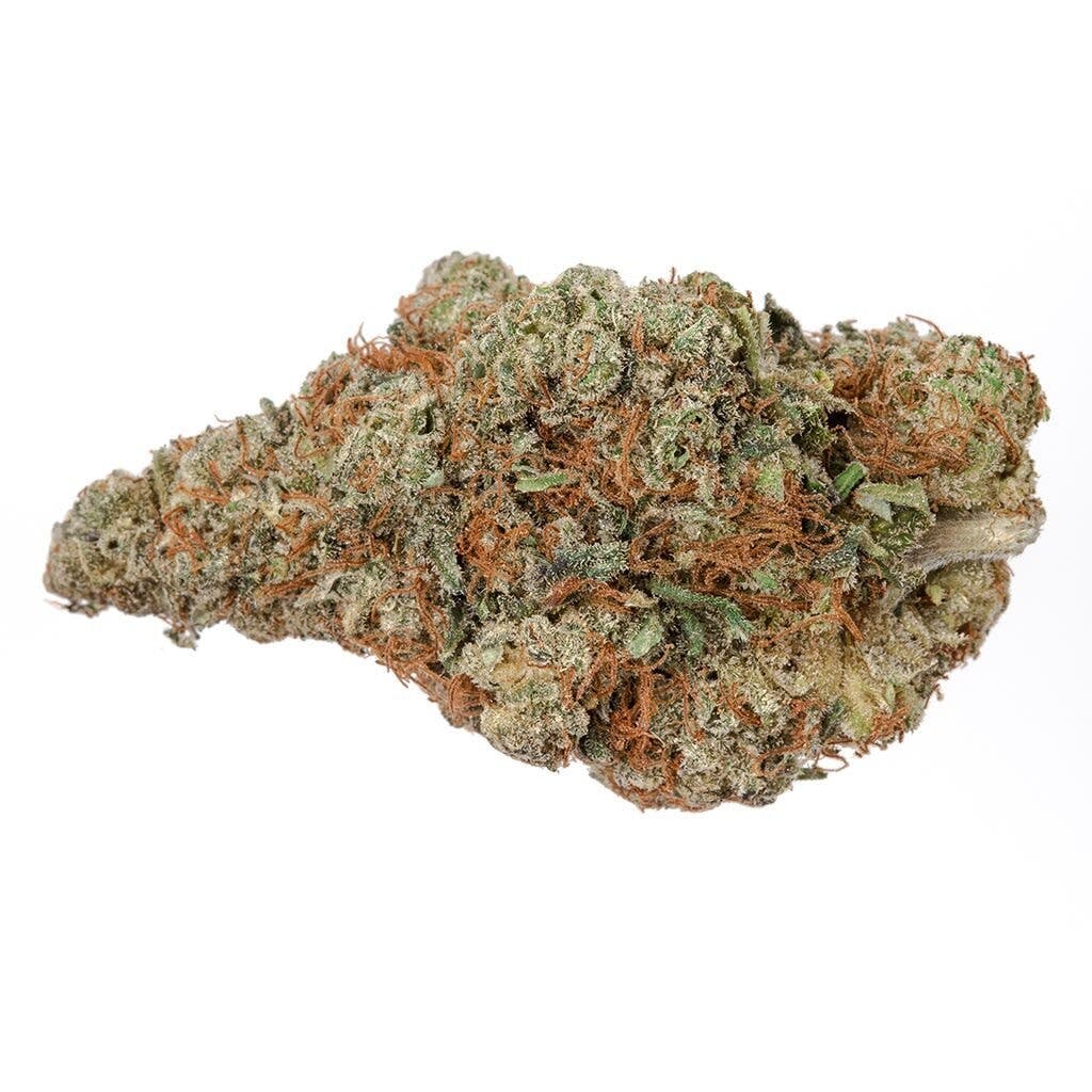 Highly Dutch Organic - Maple Kush (Rotterdam Indica) 28g Dried Flower