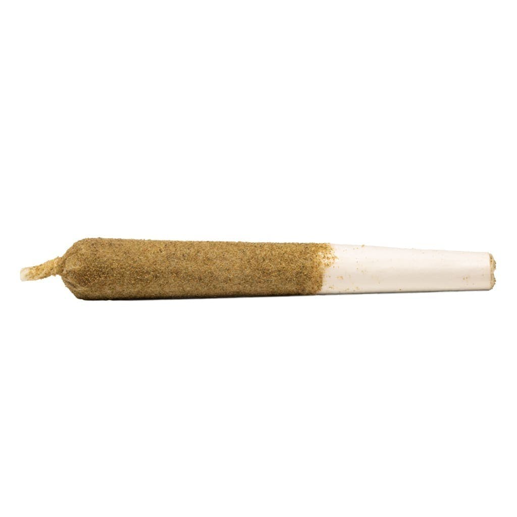 GENERAL ADMISSION Honeydew Boba Distillate-Infused Pre-Roll - 1x1G