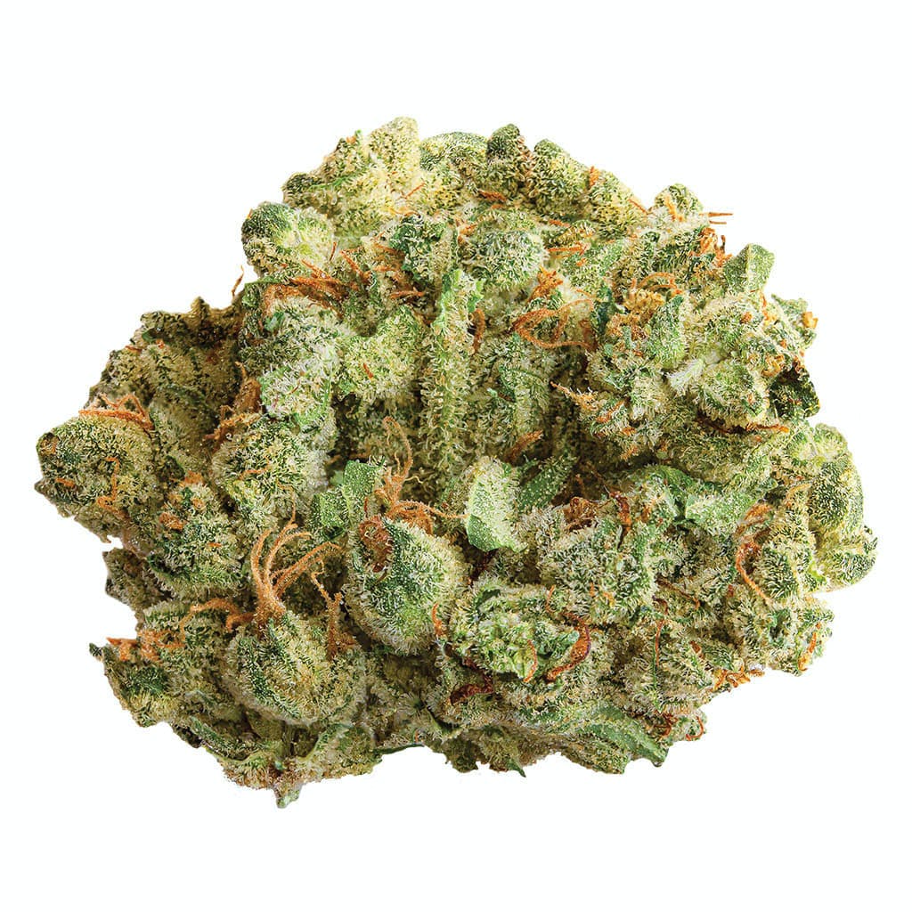 Cocoa Bomba - Cocoa Bomba 3.5g Dried Flower