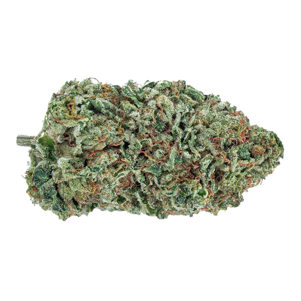 Organic Maple Kush - Organic Maple Kush 3.5g Dried Flower