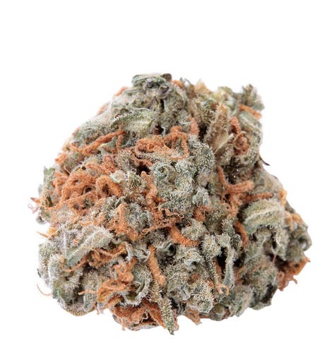Haven St. No. 417 Indigo Daze - 3.5g
