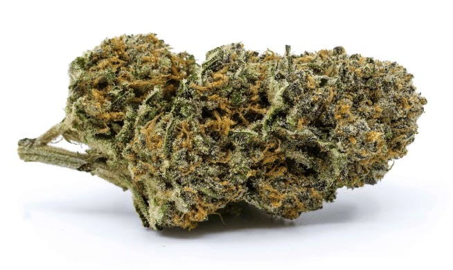 Redecan - Wappa - 1g
