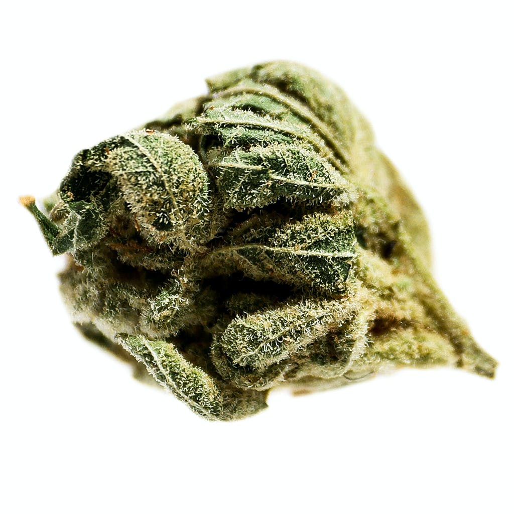 Potluck | Pineapple Express 7g