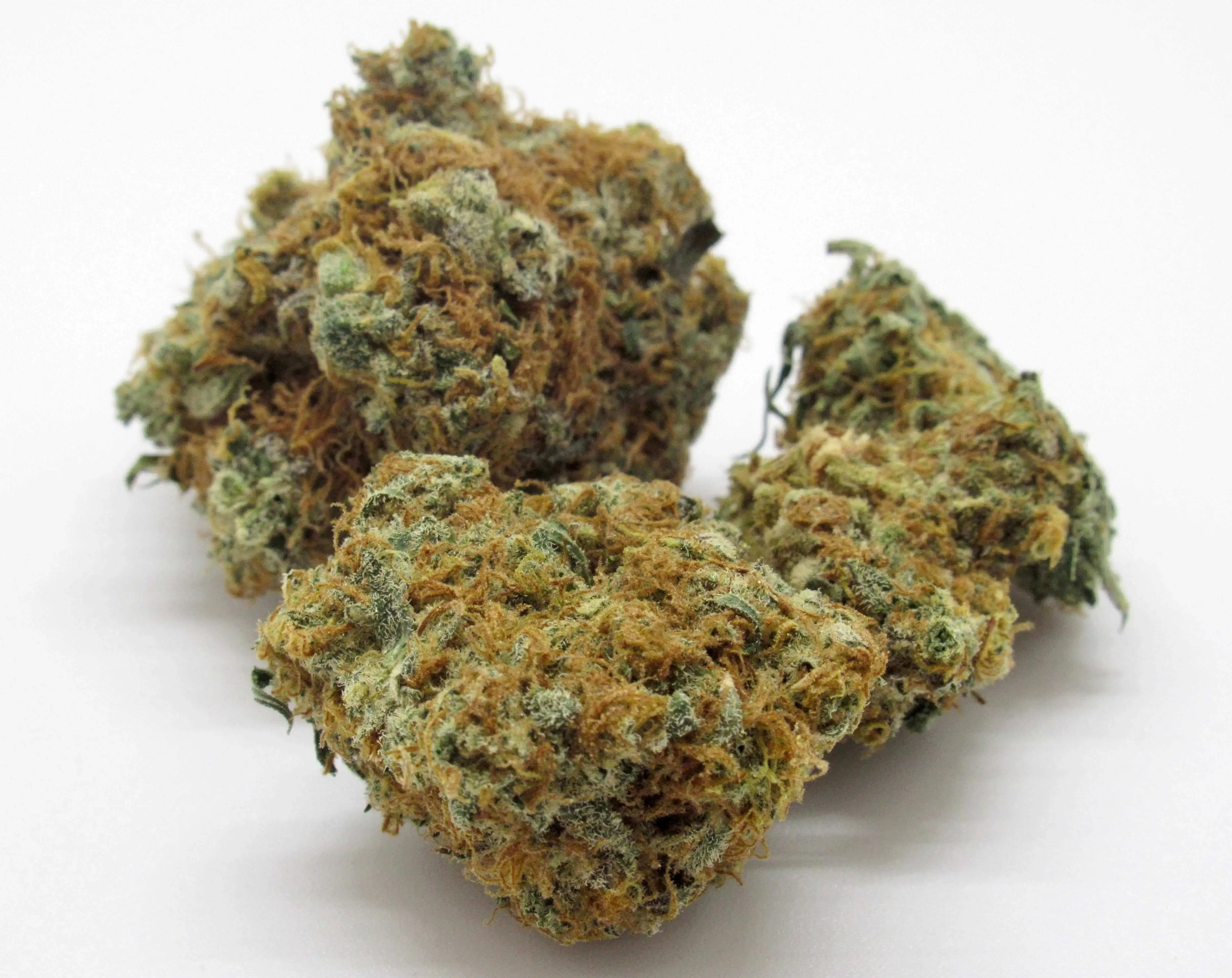 TANGERINE